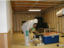 Mold Remediation Services in Alexandria VA and Washington DC