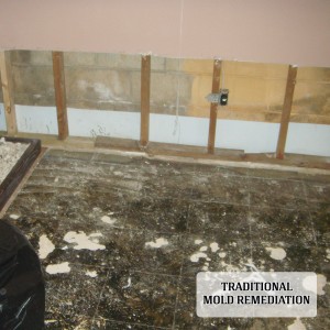 traditional approach to mold remediation 