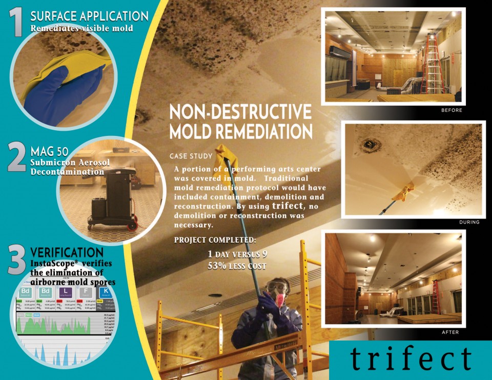 Trifect mold remediation