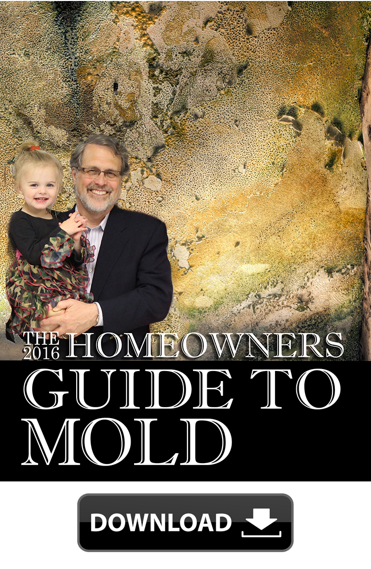 Mold Guide Download - ServiceMaster NCR