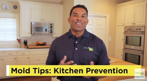 mold prevention - kitchen tips