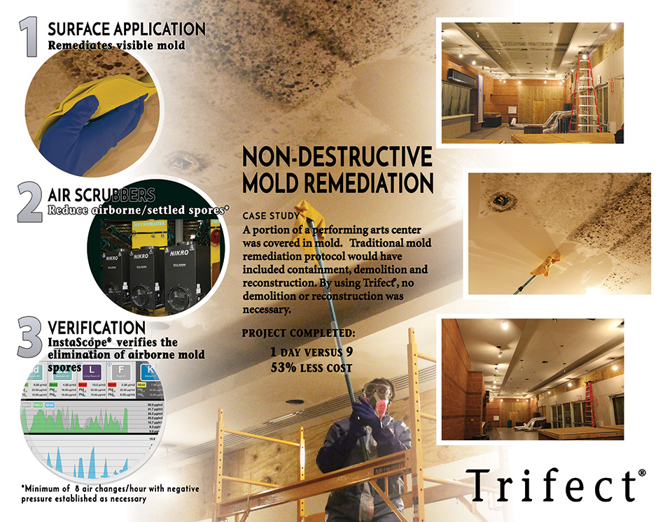 Trifect mold removal brochure page 2