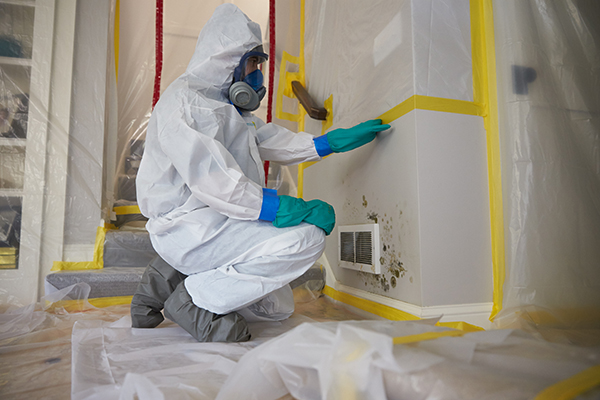 Mold Remediation for Hybla Valley and Fort Hunt, VA